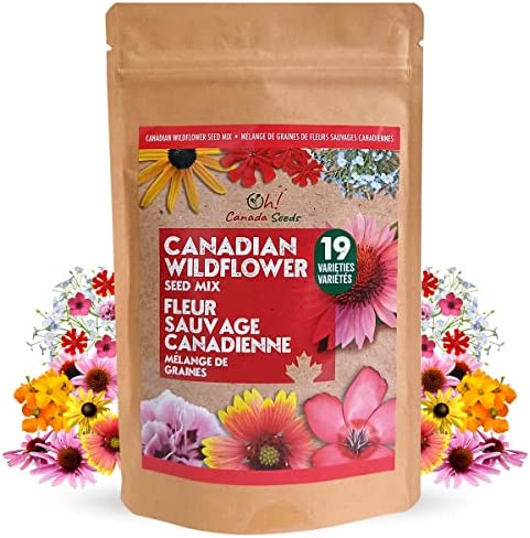 Canadian Wildflower Seed Mix - 13,500 Seeds - 19 Annual & Perennial Varieties for Planting in Canada - Non-GMO Bulk Package Bird Butterfly Bees - 100g Flower Seeds