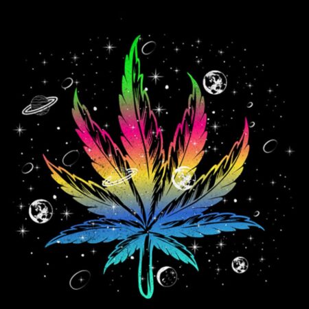 Cannabis Lover cannabis in space: Notebook Planner 110 pages 8.5x11